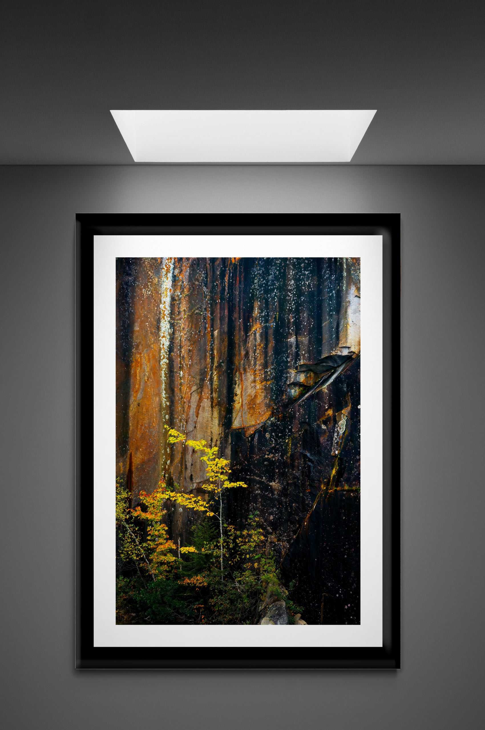 Michael Hart Fine Art