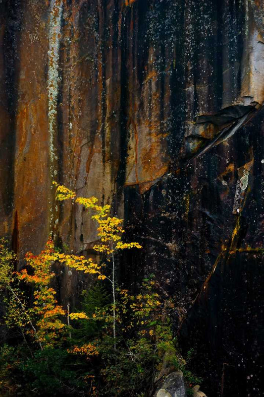 Abstract stone wall in a Maine quarry with cascading mineral streaks, autumn foliage, and rich textures in natural light.