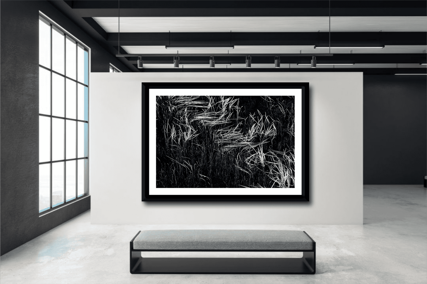 Gallery installation of Reeds in Water – Grand Teton Fine Art Black & White Landscape by Michael Hart. Perfect for modern art exhibitions.