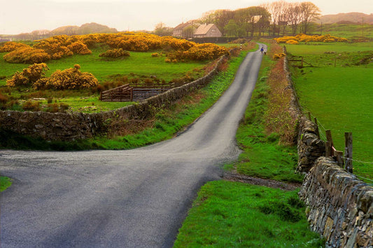 Fine art photograph of a woman walking her dog along a winding country road on the Isle of Islay, Scotland, with stone walls, green fields, and soft coastal light.