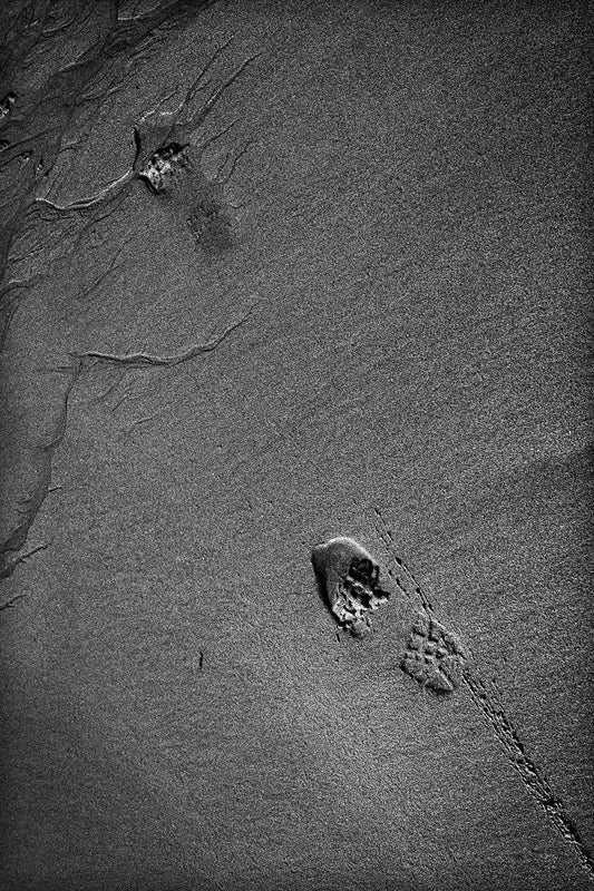 Black and white photograph of sand patterns and footprints on Maine coast with tidal water channels and textured surface