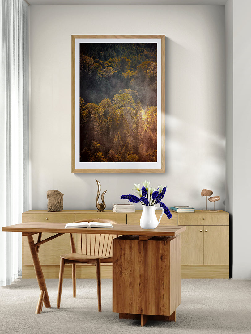The Forest Illuminated fine art photograph in a natural wood frame above a wooden desk in a bright, contemporary home office.