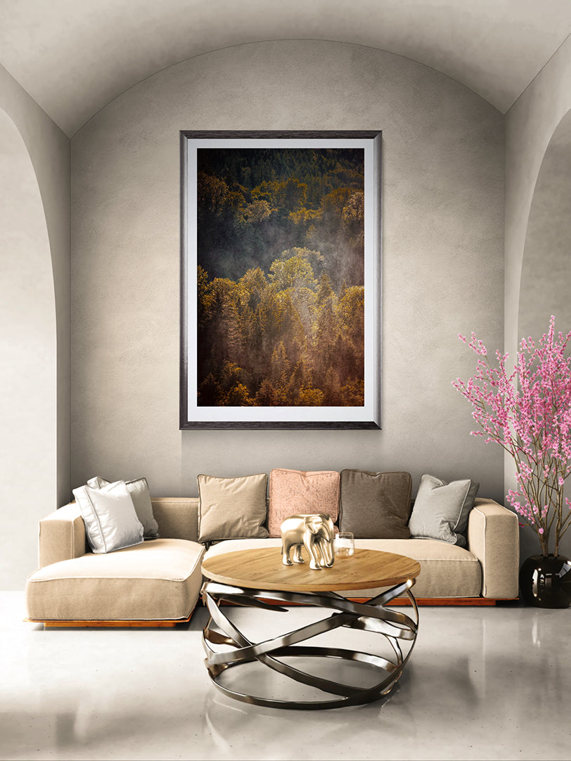 The Forest Illuminated limited edition fine art photograph displayed in a dark frame above a sofa in an elegant living room with an arched ceiling.