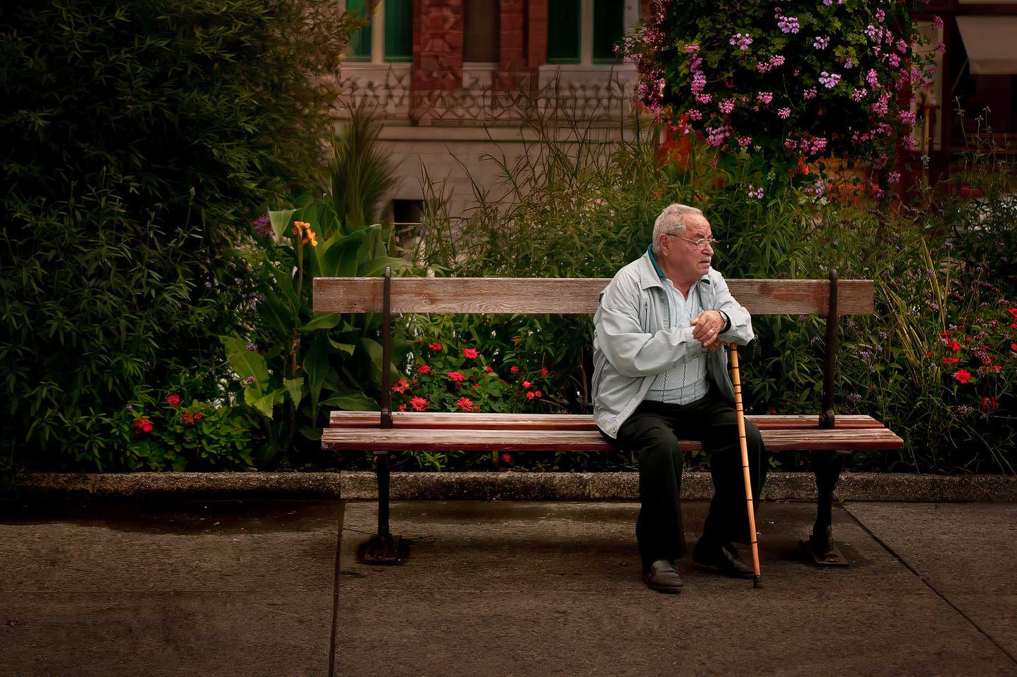 Elderly man seated on a bench with a cane beneath flowers in Troyes, France, captured as a quiet street photography moment.