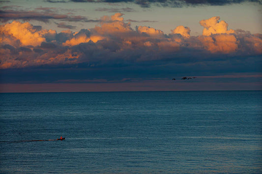 The Race — fine art photograph of a small boat and birds crossing at sunset over calm ocean water near Gloucester Massachusetts