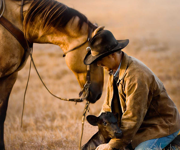 The Rescue — Cowboy and Calf at Sunset | 44 Farms Texas Photography ...