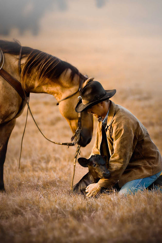 Cowboy kneeling beside a calf at sunset at 44 Farms in Texas, with horse standing nearby in warm golden light.