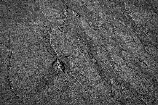 Black and white photograph of tidal sand patterns on Maine coast with fine water channels and abstract linear textures