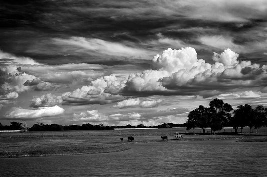 Black and white photograph of a cowboy herding cattle beneath dramatic clouds at 44 Farms in Texas, with wide open ranchland and expansive sky