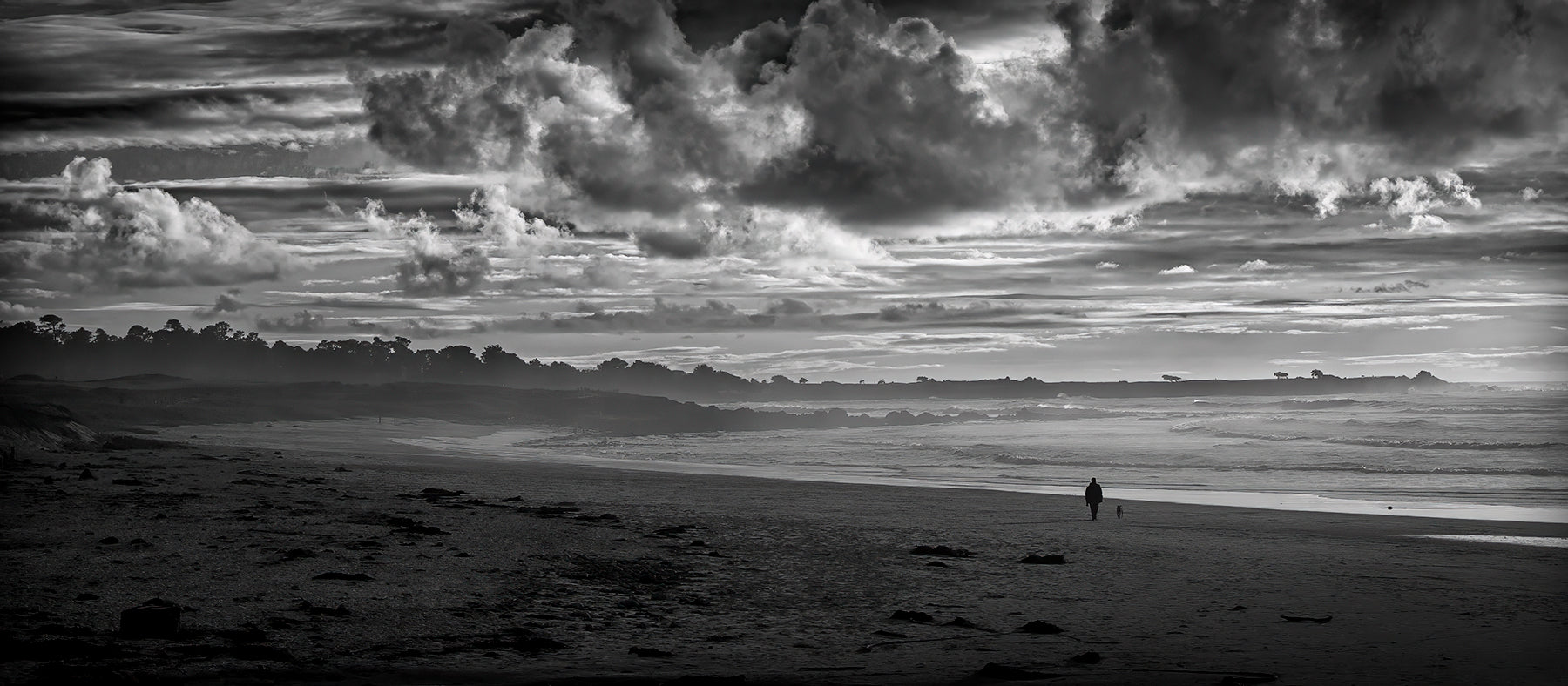 Michael Hart Fine Art
