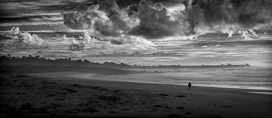 Black and white panoramic photograph of a person walking a dog along Monterey Bay shoreline beneath dramatic clouds