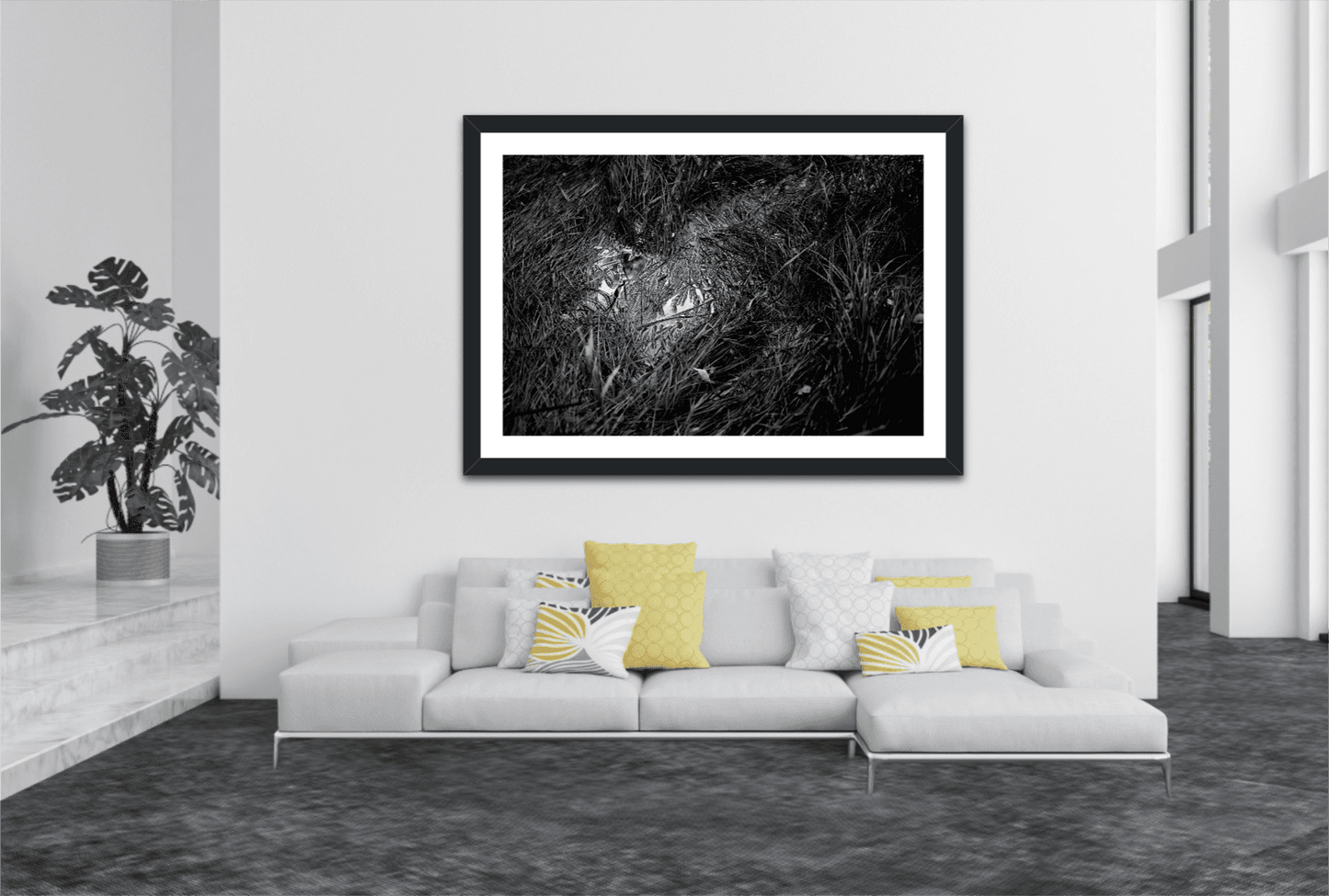 Black and white artwork 'Water & Reeds – A Scene in Acadia National Park in Black and White' displayed in a bright, contemporary living space with pastel pillows.