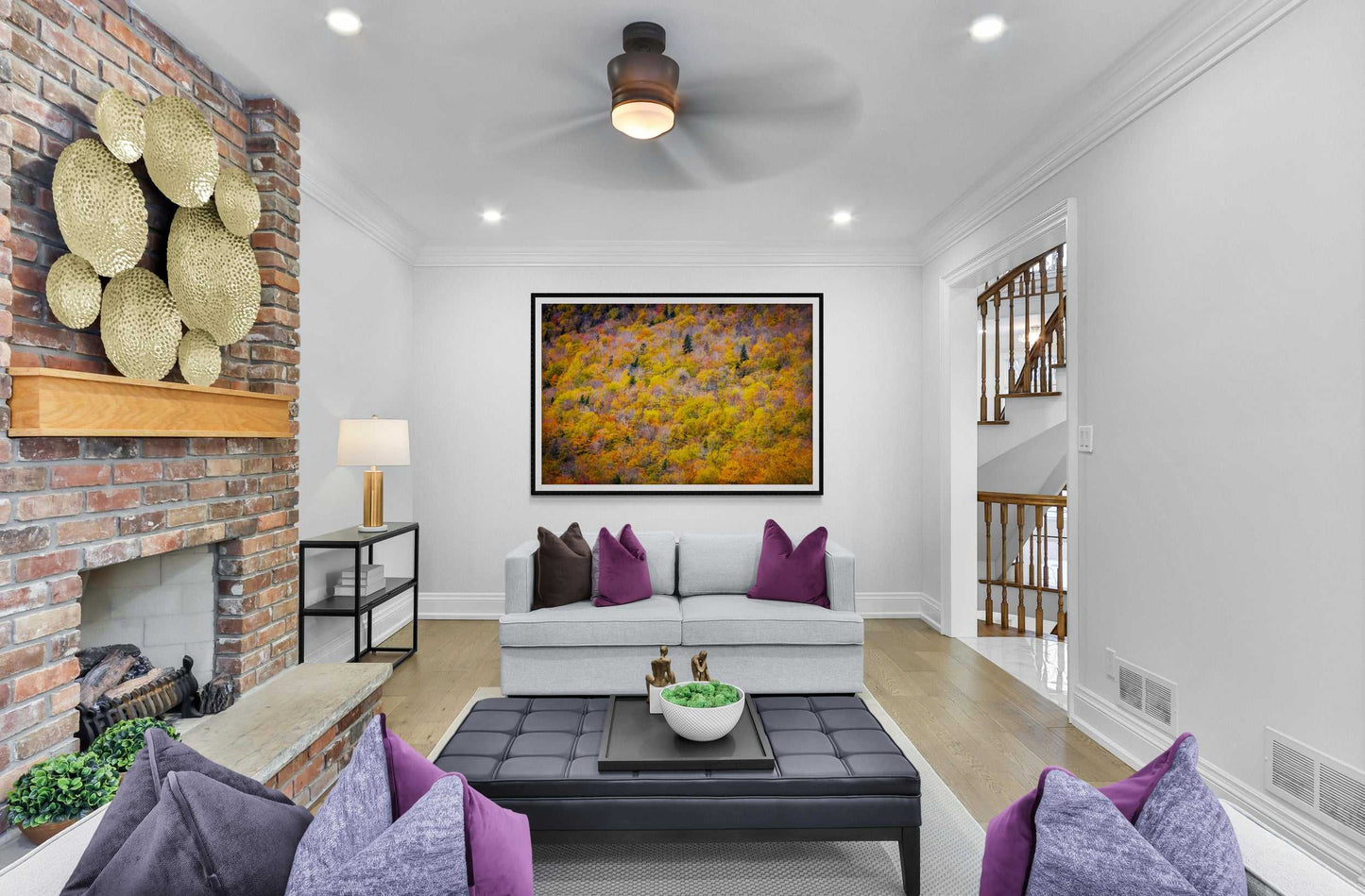 Canopy of Color is a framed photographic image of the tops of a field of trees in the New England autumn shown on the wall of a room setting 