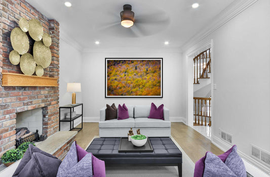 Canopy of Color is a framed photographic image of the tops of a field of trees in the New England autumn shown on the wall of a room setting 