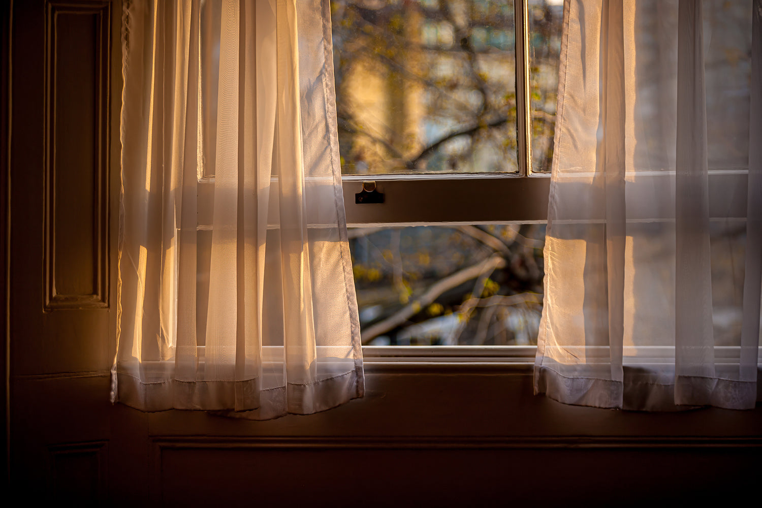 Golden light illuminates a window and curtains in Mayfair, London, England