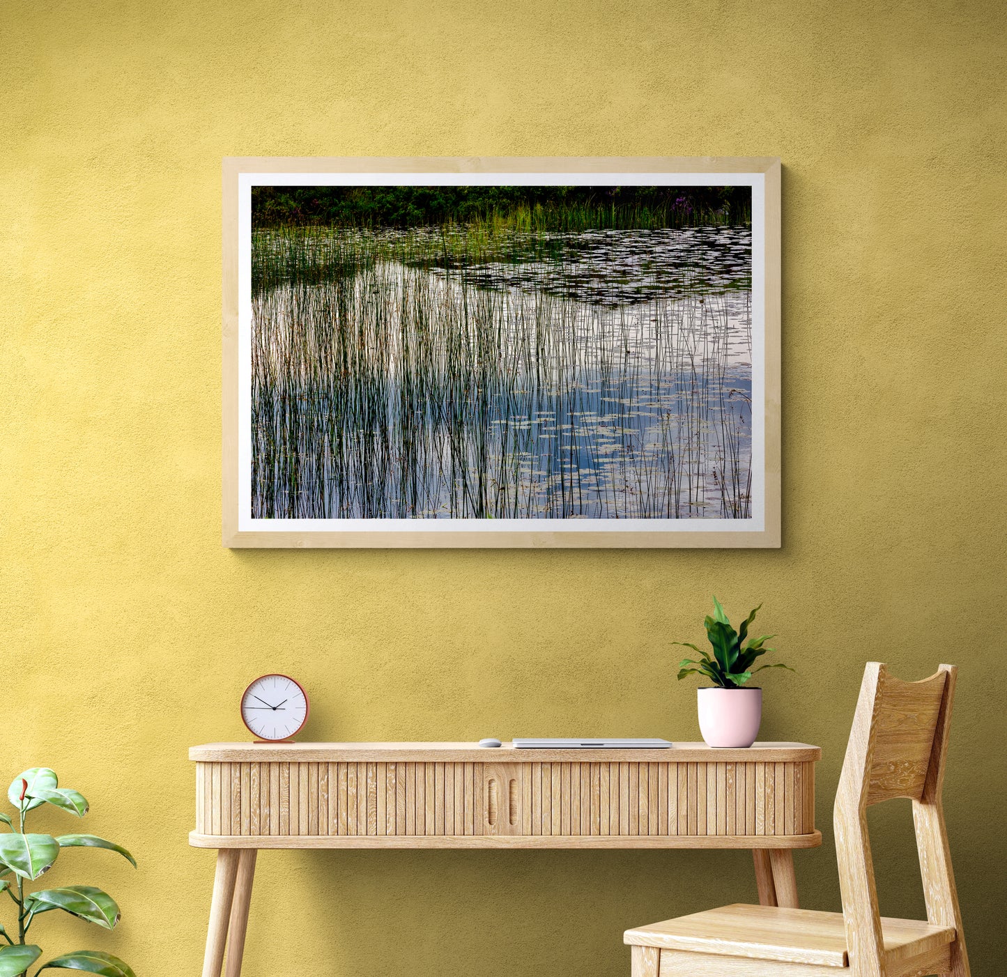 Reeds and Water, Lochinver